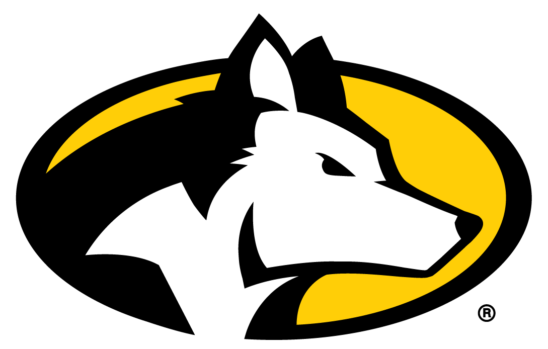 Michigan Tech Huskies 2016-Pres Partial Logo iron on transfers for clothing